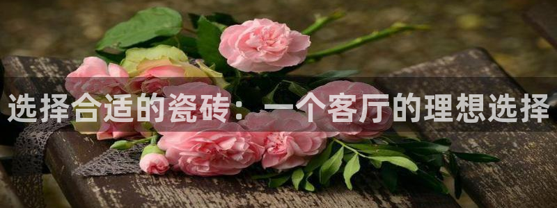 和记官网加盟