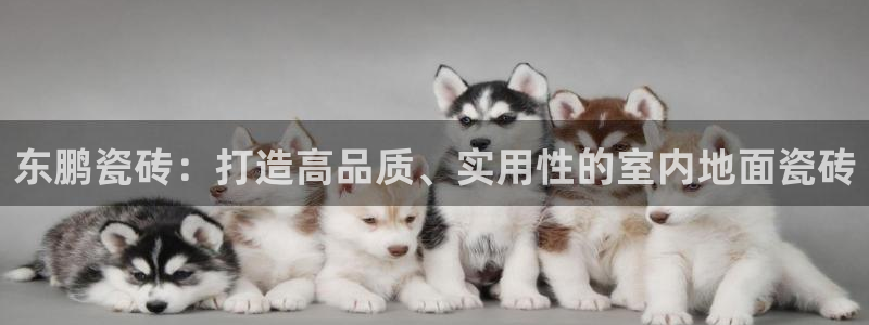 和记娱乐h88官网约凯发来就送68