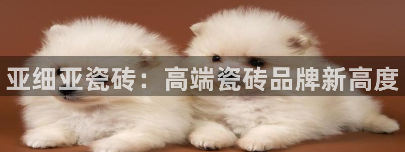 和记3电讯官网