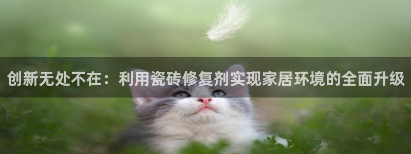 和记手机客户端官网