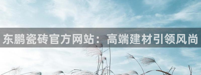 和记娱技精h88285官网