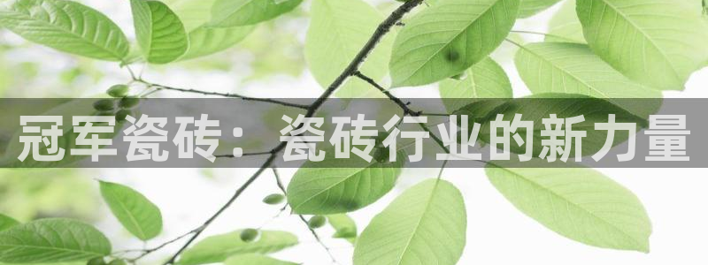 白云 和记黄埔官网电话