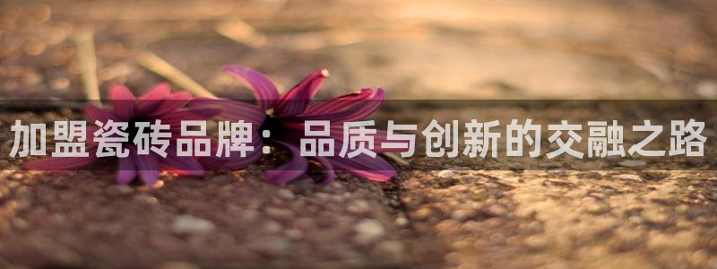 和记官网备用客户端