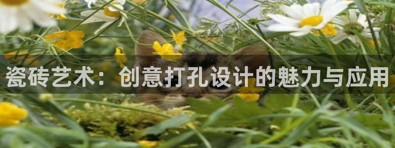 和记娱真好h88285官网