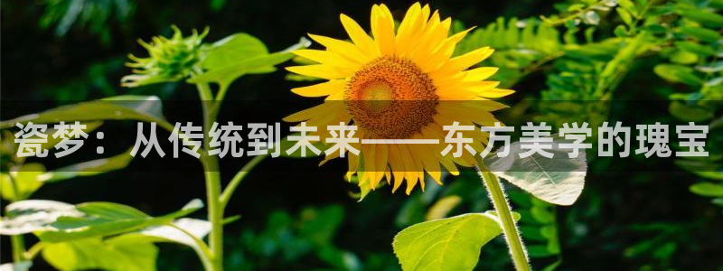 和记娱等级h88285官网