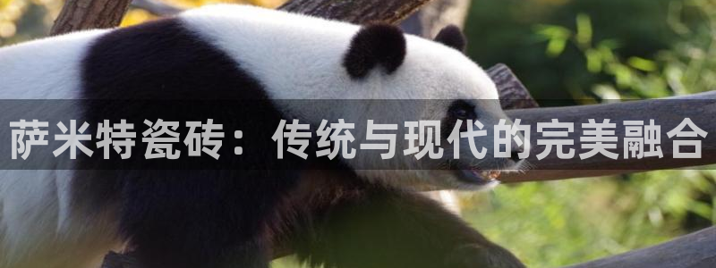 和记娱实惠h88285官网