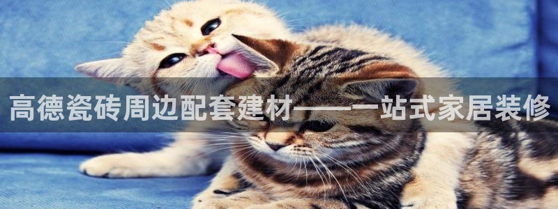 和记电讯官网澳门