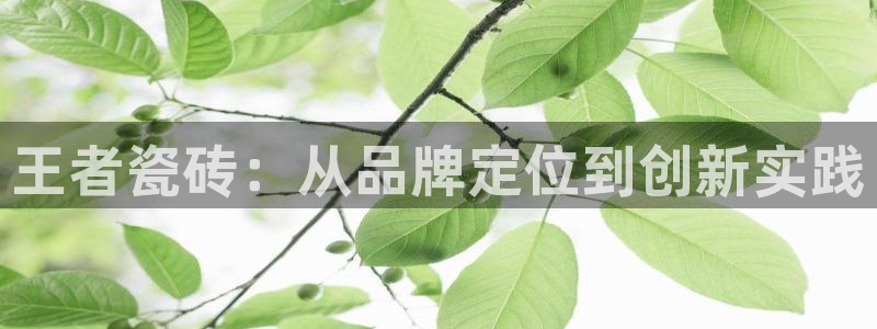 澳门3和记官网