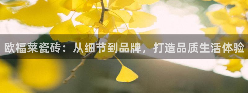 缅甸和记国际官网