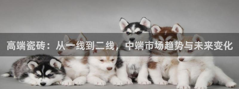 和记娱乐app官网登录