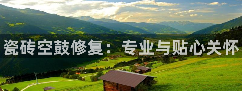 和记手机客户端官网