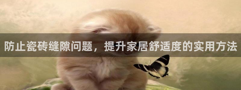 和记h188怡情官网