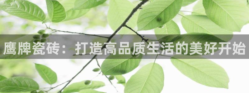 和记官网手机版
