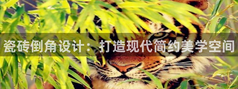 香港和记隆官网