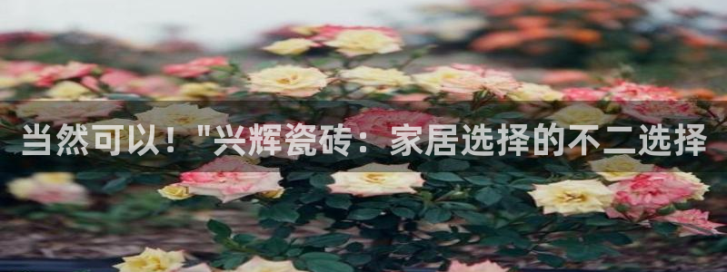 和记电讯three官网