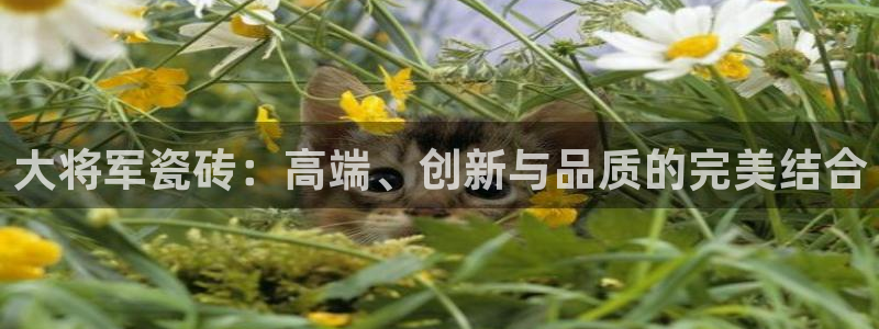 和记安徽快3官网开户