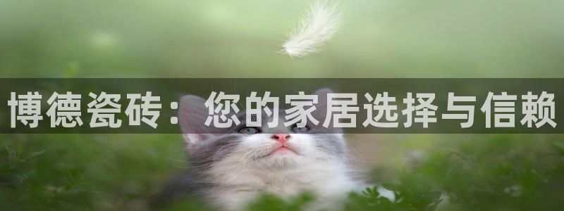 和记网开户官网