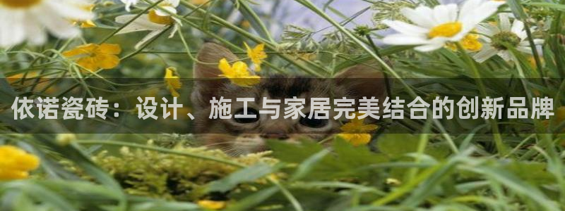 和记娱乐手机官网