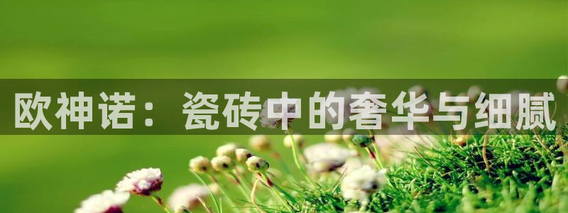 香港和记集团官网