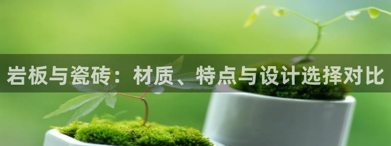 和木记手帕官网