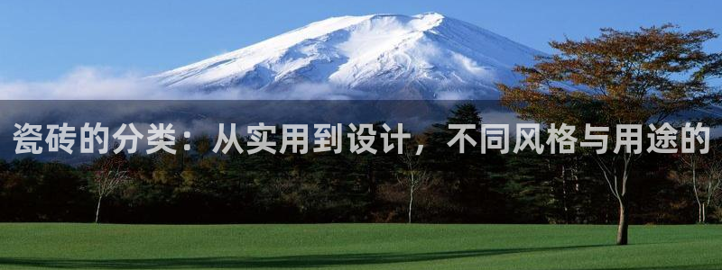 和记官网app是谁的