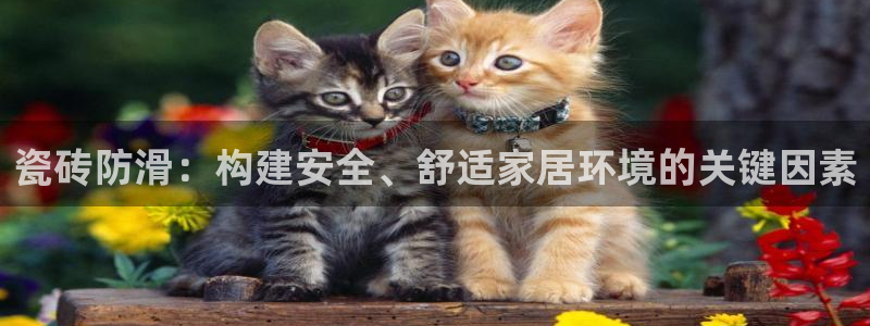 和记娱精湛h88285官网