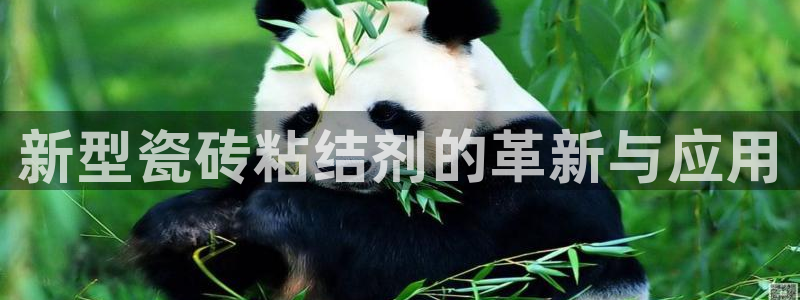 白云 和记黄埔官网电话