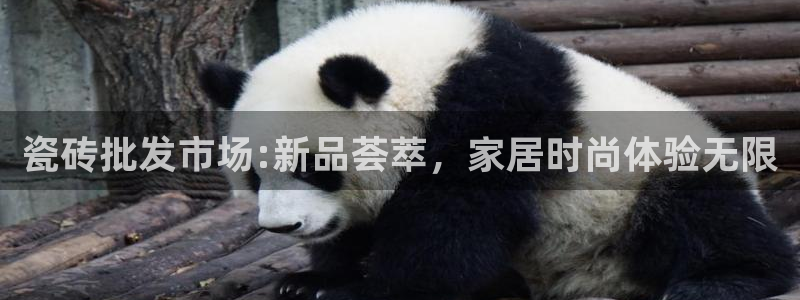 和记官网怡情娱乐