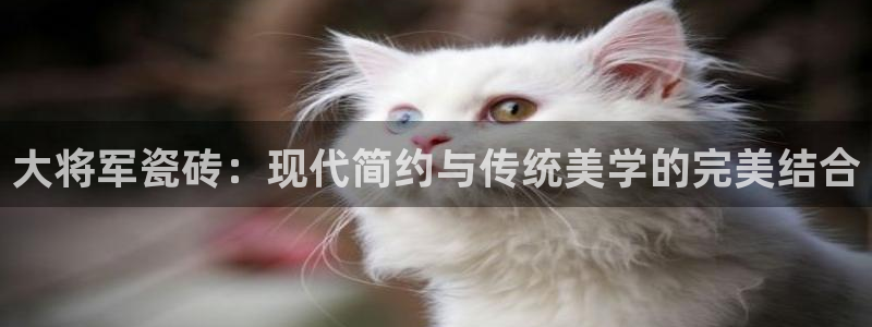 和记娱乐怡情官网