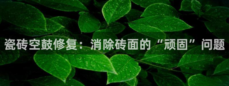 和记备用网官网开户