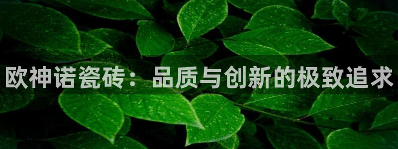 和记电讯官网0机构