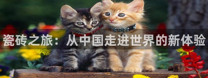 和记官网登录