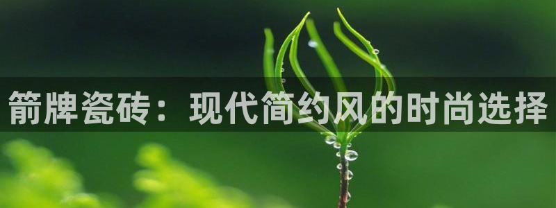 和记娱要多少钱h88285官网