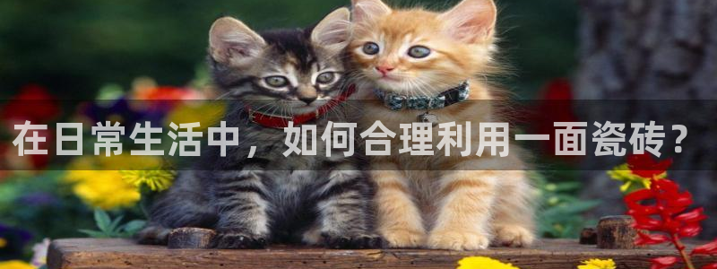 和记备用网官网开户