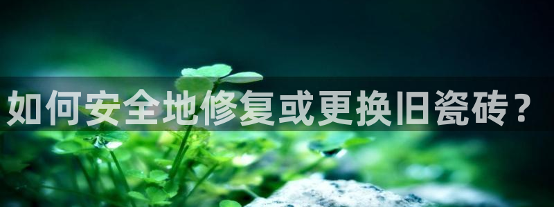和记官网登录