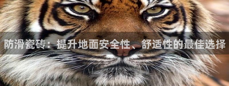 和记开户官网