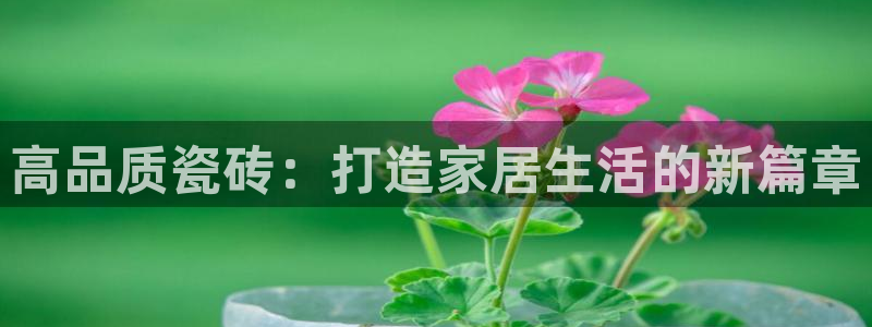 菲律宾和记官网