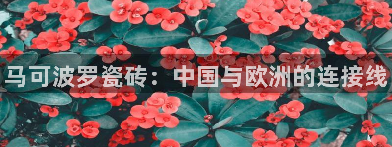和帆记加盟官网