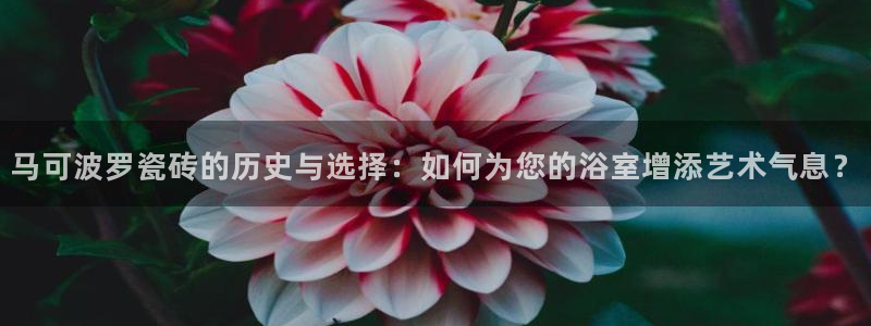 和记娱乐场所官网