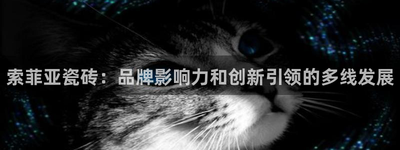 长江和记官网