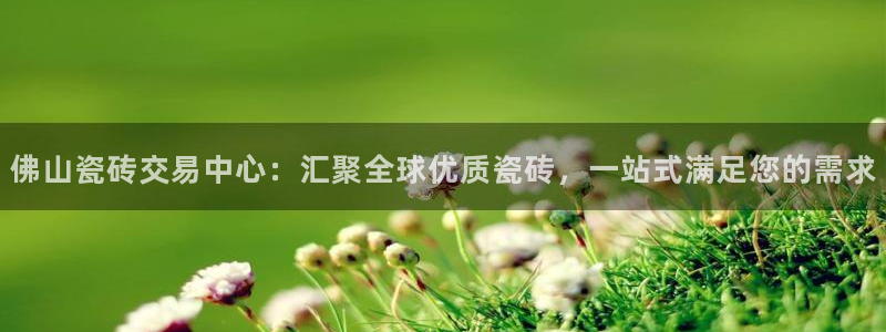 成都和记黄埔官网