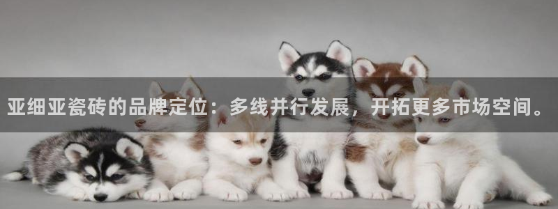 和记官网娱乐场