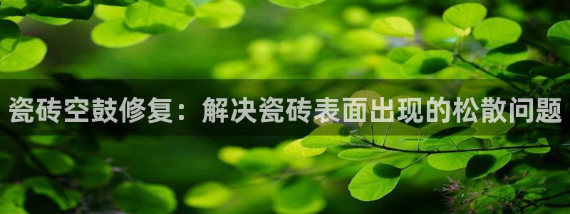 和记黄埔m 官网