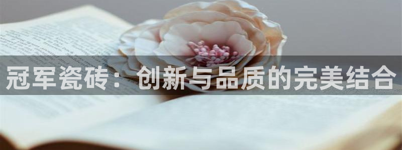 和记官网h88