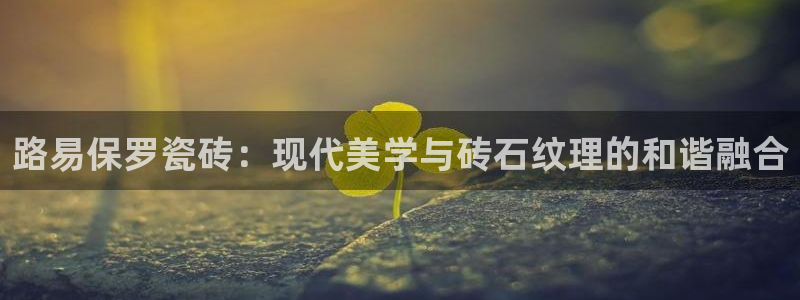 胡和记面官网