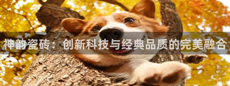 h88和记官网
