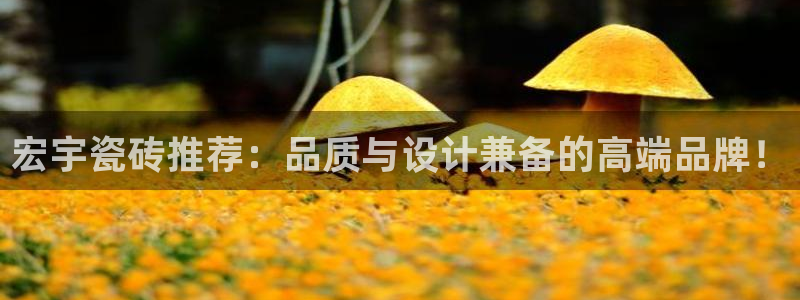 和记3国际万能卡官网