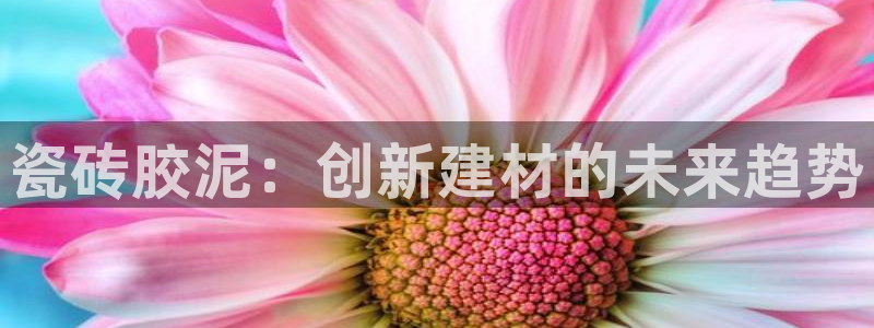 和记电讯 官网