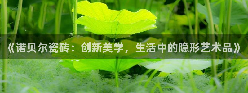 和记娱真心推荐h88285官网