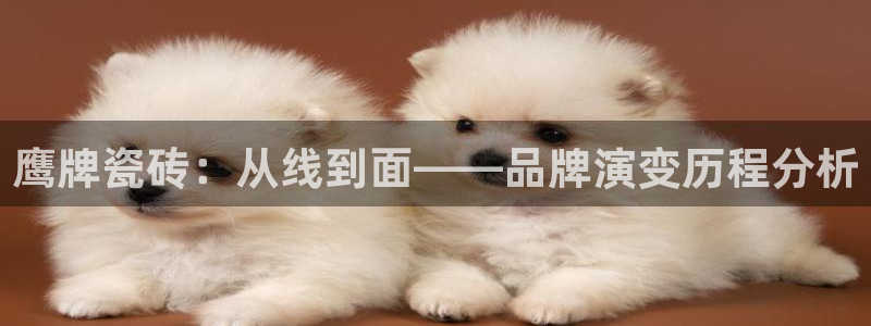 小金库钱包app下载官网和记